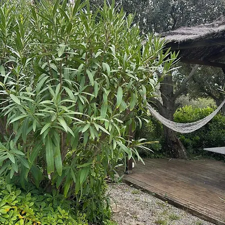 Lägenhet Cosy A 5 Min De La