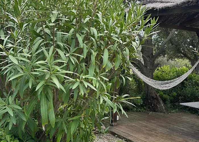 Daire Cosy A 5 Min De La